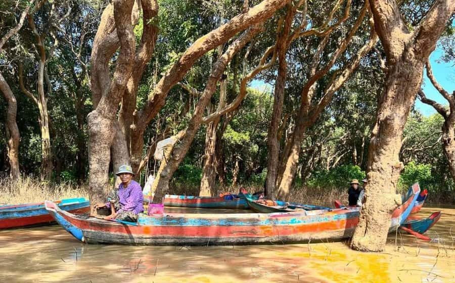 Kompong Pluk Tour - Mangroves and the optional flooded-forest rowing boat (Oct–Jan)