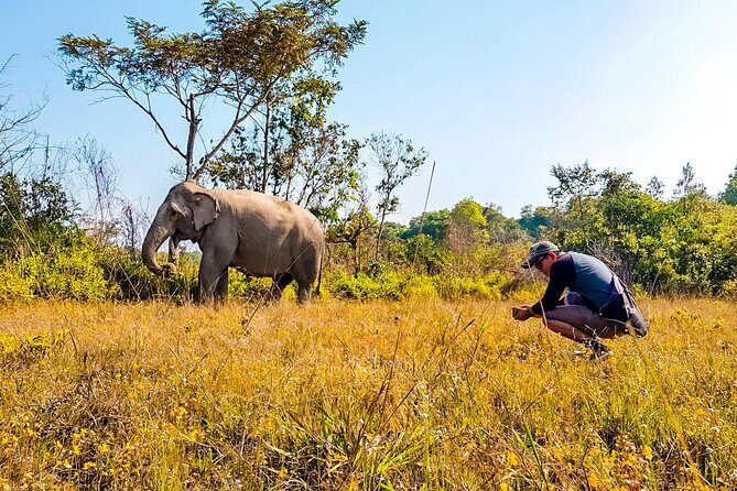 Kulen Elephant Forest by private tour - Kulen National Park time: jungle trails plus river carvings