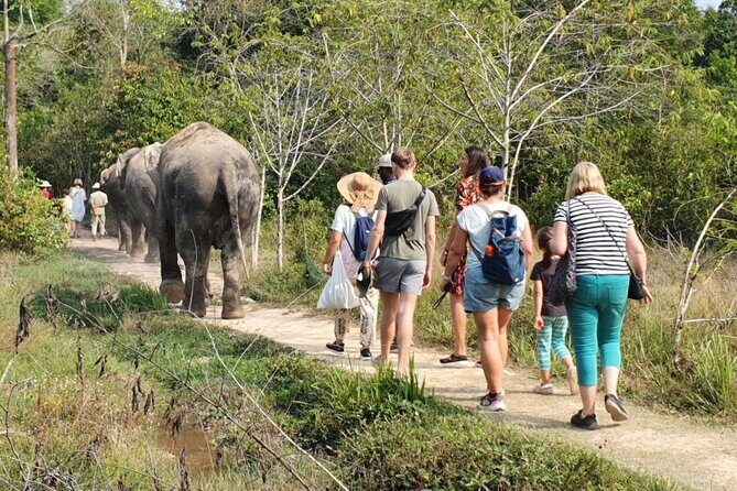 Kulen Elephant Forest by private tour - Price and value: is $235 per person fair?
