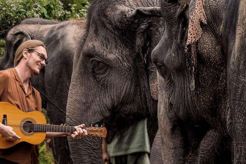 Kulen Elephant Forest Siem Reap in Small Group - Price and value: Is $69 fair for a 5-hour ethical experience?