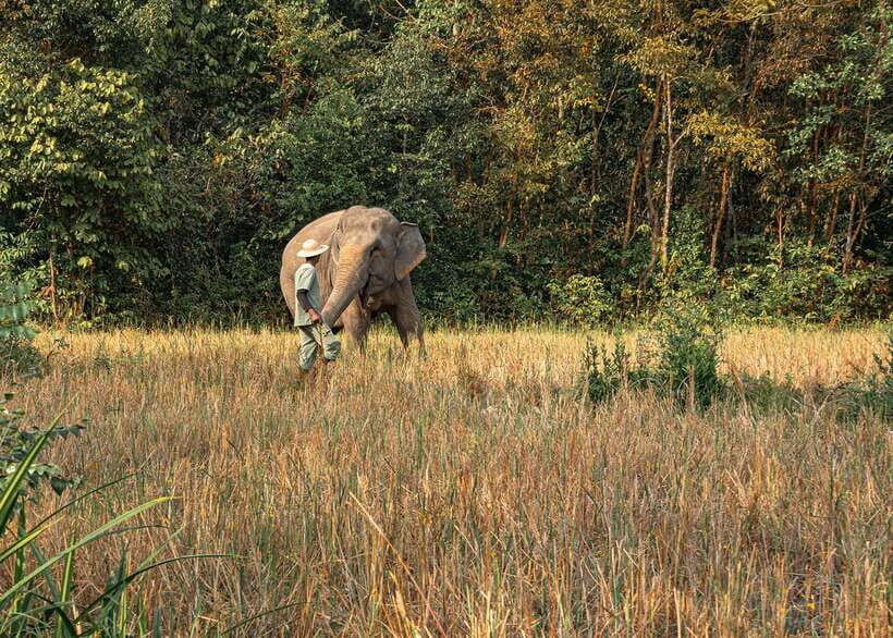 Kulen Elephant Forest Siem Reap in Small Group - What to bring (and what to skip) so the day stays comfortable