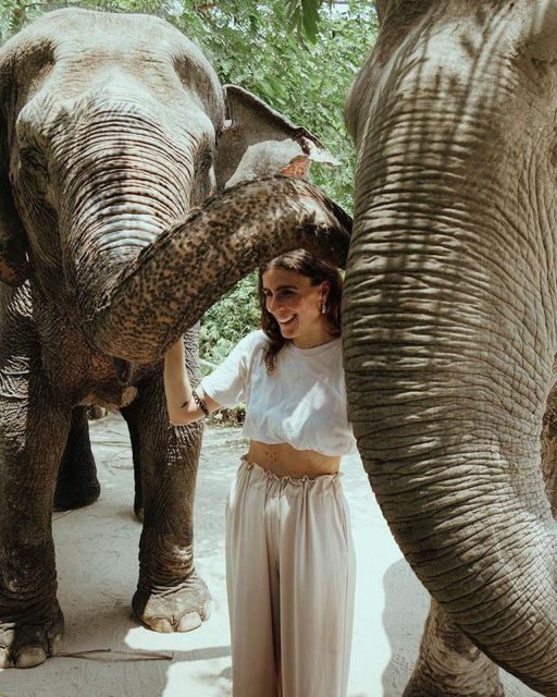 Kulen Elephant Forest Siem Reap in Small Group - Choosing the right person (or mood) for this tour