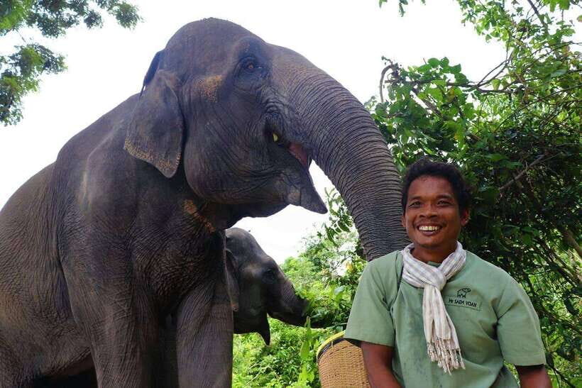 Kulen Elephant Forest Siem Reap in Small Group - Handmade elephant snacks and the meet-and-greet moment