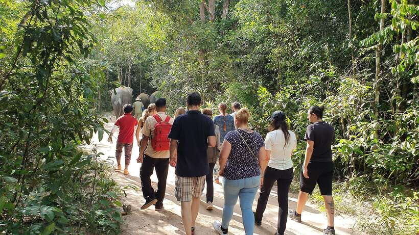Kulen Elephant Forest & Tonlesap Lake - What to bring (and what to avoid) for a smoother day