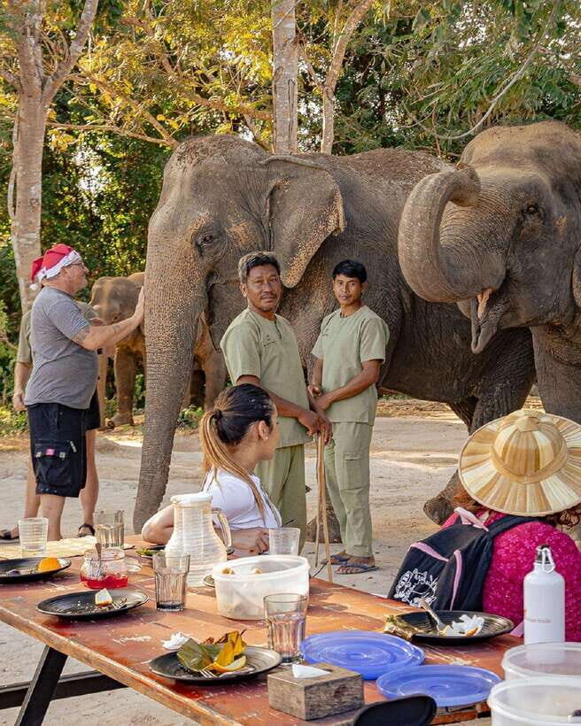 Kulen Elephant Forest & Tonlesap Lake - Kulen Elephant Forest: the elephant part you actually came for