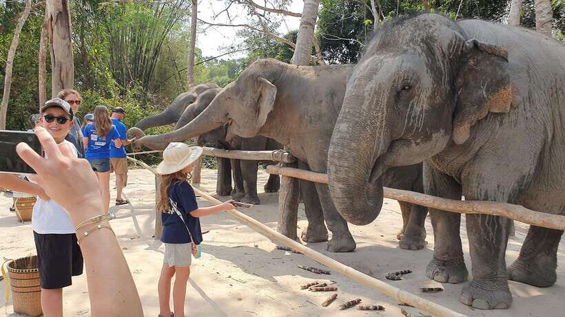 Kulen Elephant Forest & Tonlesap Lake - The 3-hour jungle hike and waterfall goal: short distance, real immersion