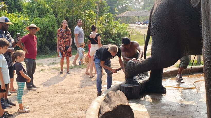 Kulen Elephant Forest & Tonlesap Lake - Tonle Sap views and the Kompong Phluk shift: from animals to real water life