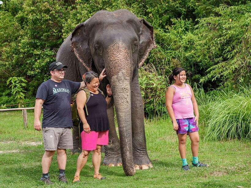 Kulen Elephant Forest Tour with Hotel Pick-up & Drop off - The camp experience: photo stop, guided briefing, and elephant-led closeness