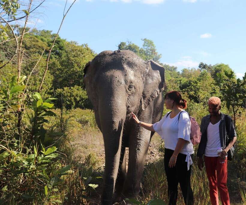 Kulen Mountain Day Trip with Picnic & Kulen Elephant Forest - Key things to know before you go