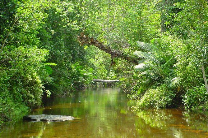 Kulen National Park Ticket - The 7:00am–11:30am road rule: the one detail that can make or break your day