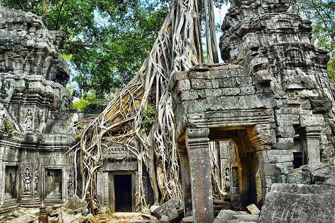Local French Speaking Guide Angkor Wat Small-Group Tour - Timing, dress code, and heat-smart habits