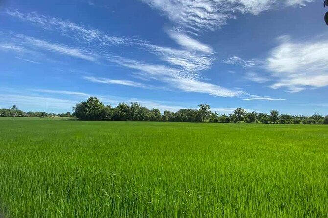 Morning Tour Bamboo Train, Ancient House, Local, Countryside - Battambang Status Man + More Countryside Stops: Small Details That Add Up