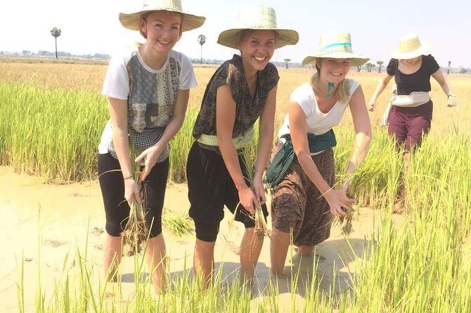 NhumBai, The Village Experience - Quick Take: What Makes This Village Experience Worth It