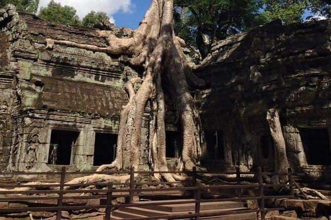 Night Street Tour in Siem Reap - The guide effect: why Seila and Boon are worth remembering