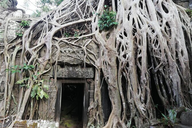 One Day Angkor World Heritage Tour - Bayon inside Angkor Thom: the face towers moment