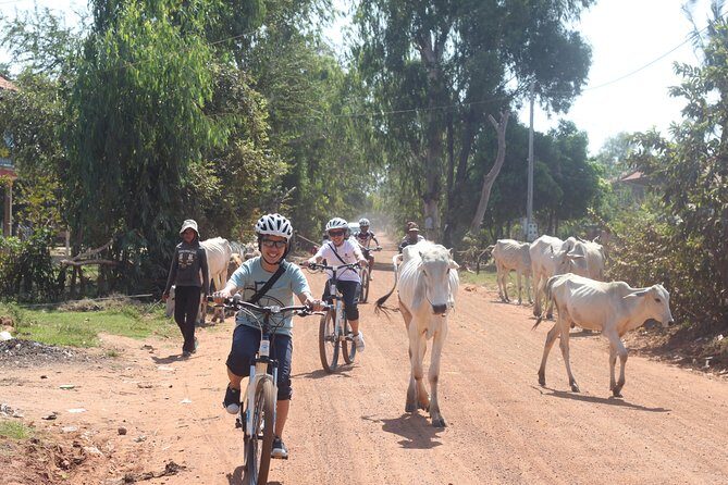 Oudong Mountain And Floating Village Cycle Tour - Bikes, gear, and support: what comfort looks like here