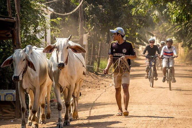 Oudong Temples & Phnom Prasith Private Tour from Phnom Penh - The Tonle Sap sunset cruise: the calm payoff for a temple-heavy day