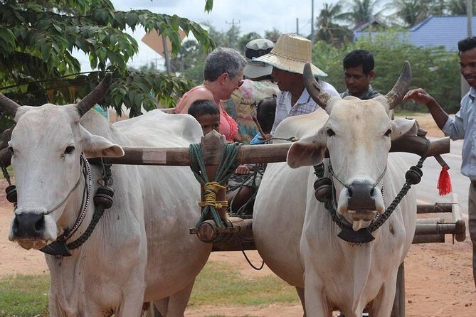 Ox-cart Culture Tour, Countryside Experince in Siem Reap - Ox-cart countryside mornings: what the timing really means