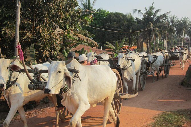 Ox-cart Culture Tour, Countryside Experince in Siem Reap - Chreav market + ecotourism talk: where the tour gets meaningful