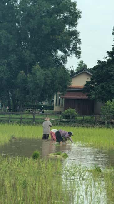 Pepper farm guided tour, Kep/Crab Market, salt & secret lake - La Plantation and the one-hour Benicàssim segment: your hands-on learning block