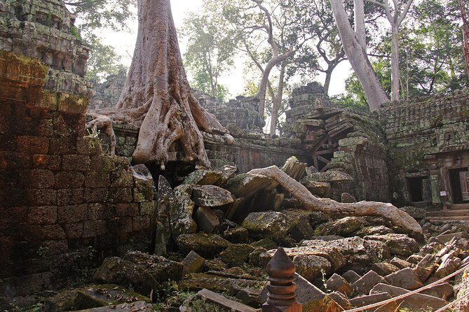 Personalised Angkor Wat Day Tour by an Air-conditioned Car - Temple pass, dress code, and what you should prep before pickup