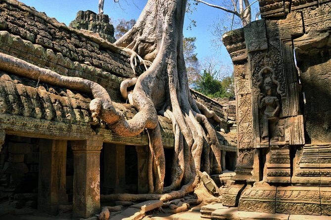Personalised Angkor Wat Day Tour by an Air-conditioned Car - Timing and the 7–8 hour rhythm
