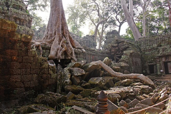 Personalised Angkor Wat Sunrise Off-the-Beaten Track Tour - Why a 5:00 AM Vintage Jeep Makes Angkor Feel Personal
