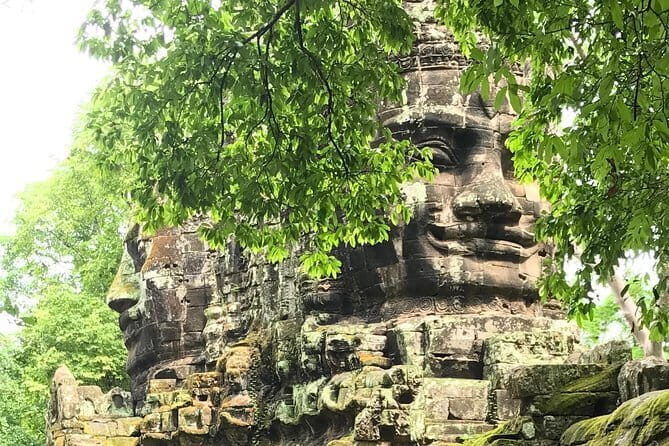 Personalised Angkor Wat Sunrise Off-the-Beaten Track Tour - Ta Prohm and Tomb Raider Roots: The Stop Most People Remember