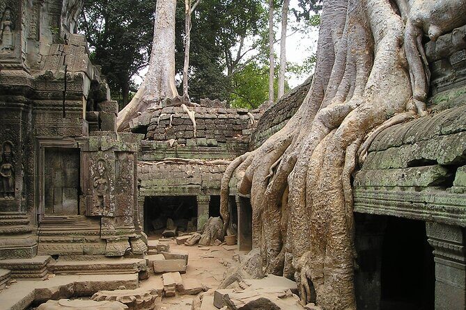 Personalised Angkor Wat Sunrise Tour by an air-conditioned car - Private air-conditioned transport: the practical advantage you feel all day