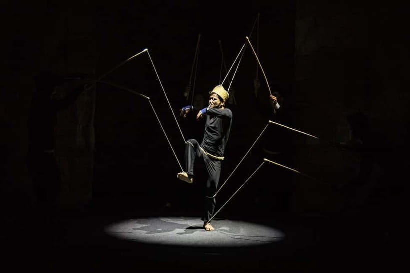 Phare: The Cambodian Circus Show with Pick up & Drop off - Who should book this show (and who might not)