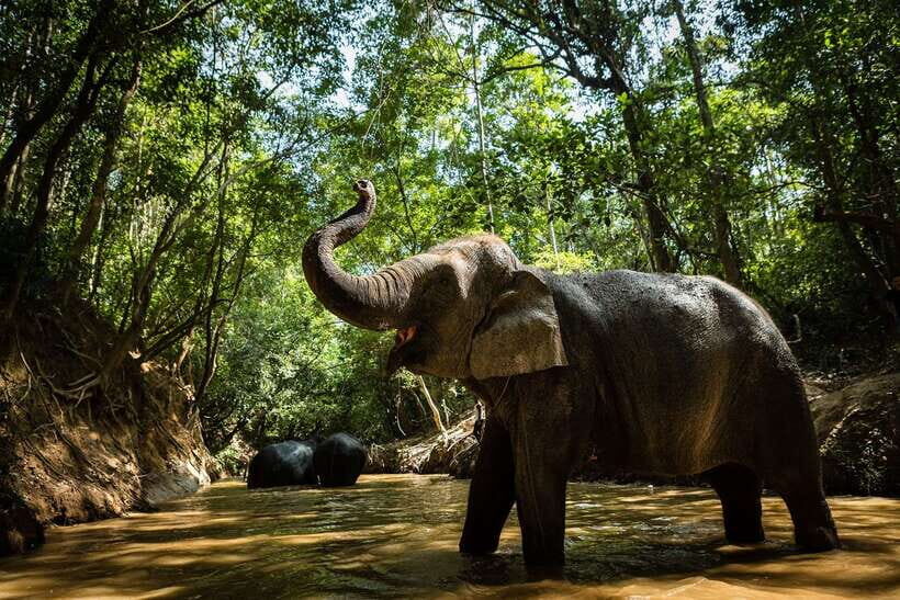 Phnom Kulen Park: Tour with Elephant Forest from Siem Reap - Morning from Siem Reap: rural villages before the hill climb