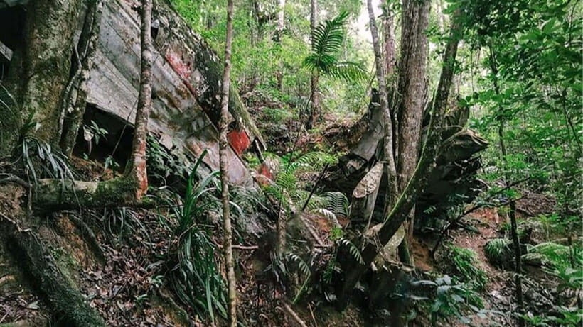 Phnom Penh: 2-Day Aural Mountains Hiking Adventure - Day 1 night: secluded forest camping, stories, and the cold reality check