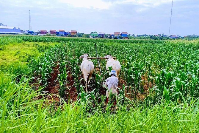 Phnom Penh Countryside Cycle Tour - Sedge mats and silk weaving workshops: where the tour gets personal