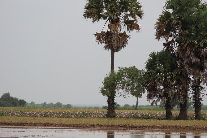 Phnom Penh Countryside Cycle Tour - Bikes, safety, and how physically demanding it really is