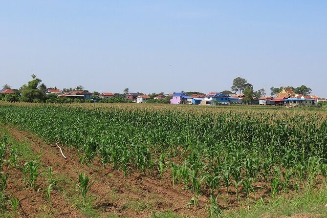 Phnom Penh Countryside Cycle Tour - Who this tour is best for