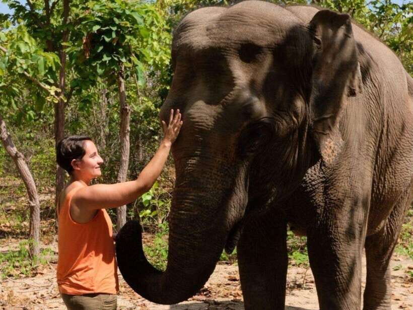 Phnom Tamao Wildlife Center & Buddha Kiri Cambodia Day Tour - Key highlights