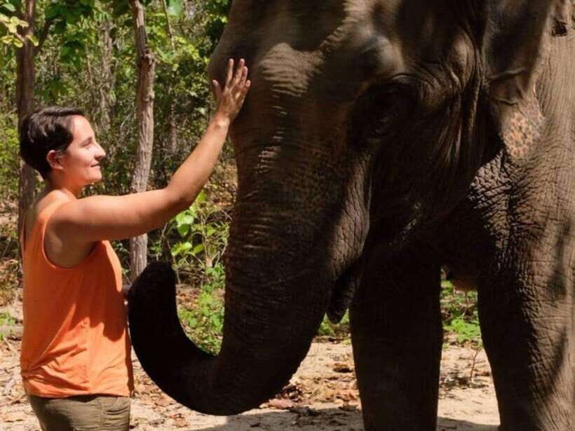 Phnom Tamao Wildlife Center & Buddha Kiri Cambodia Day Tour - From Phnom Penh to temple calm and animal rescue