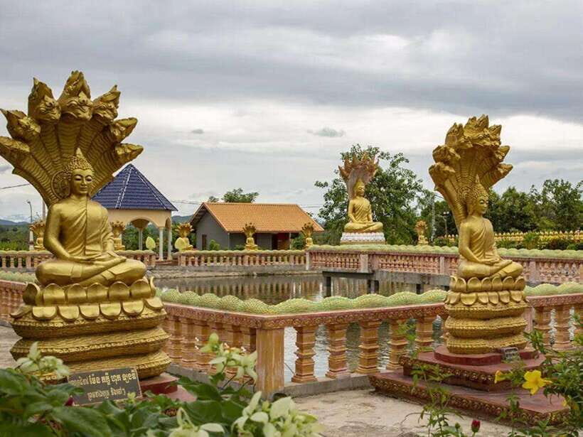 Phnom Tamao Wildlife Center & Buddha Kiri Cambodia Day Tour - Tamao Mountain: a guided walking break with the right timing