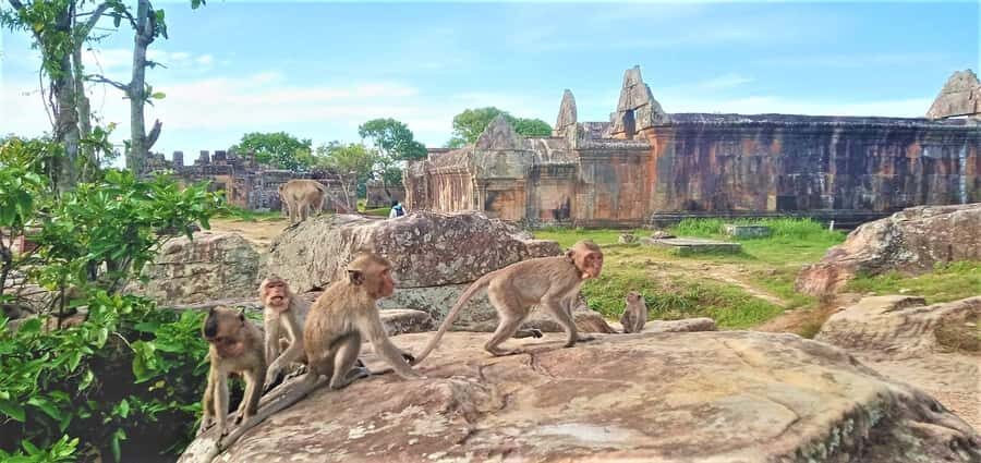 Preah Vihear Temple Koh Ker & BengMealea Tour from Siem Reap - Koh Ker Temple: Time to Wander and Birdwatch
