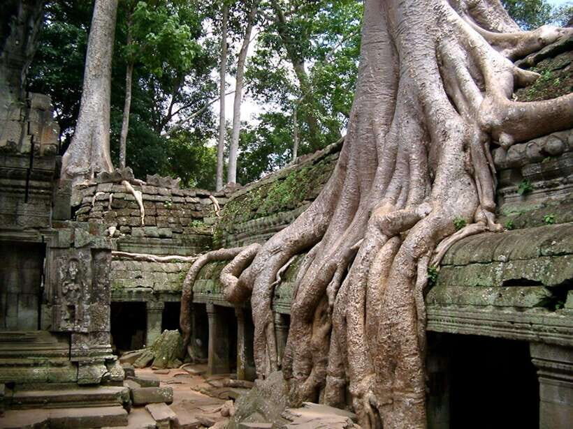 Private Angkor Sunrise, Guide Breakfast and Tuktuk included - What to Bring (and What Will Make the Day Easier)