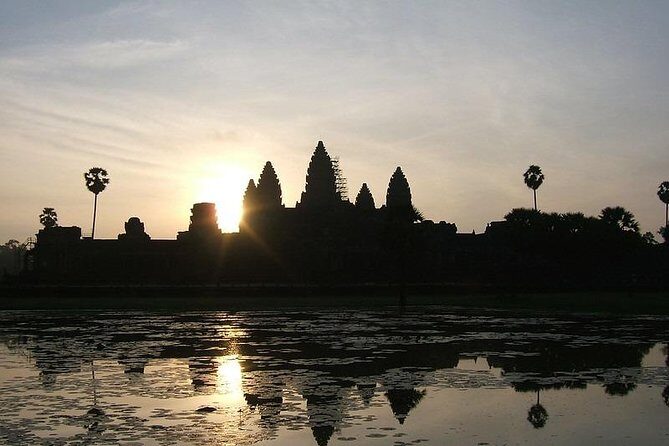 Private Angkor Temple including Sunrise Viewing - Stop 3: Ta Prohm, Fig Trees, and the Jungle Ruins Effect