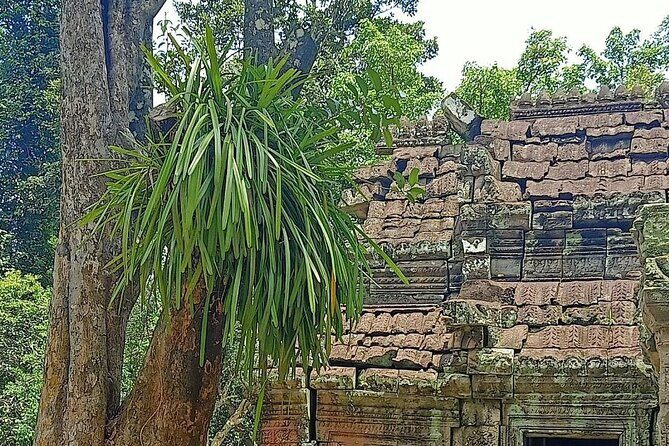 Private Angkor Wat Guided Sunset Tour - Phnom Bakheng at sunset: timing, viewpoints, and staying respectful