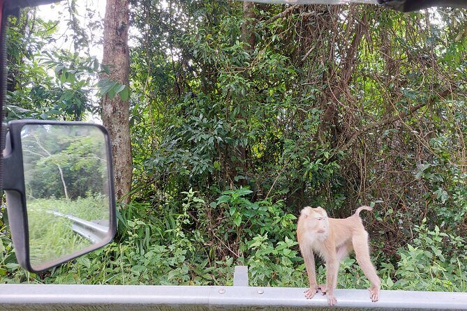Private Bokor tours by Rickshaw/SUV Car - Stop 1: Le Palais Noir (Black Palace) and the power of ruins