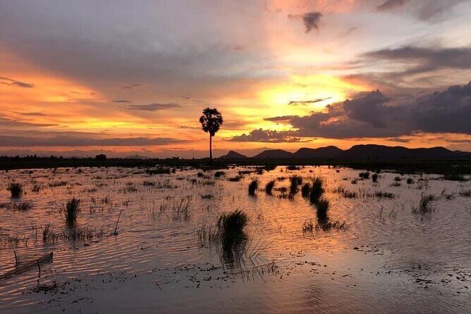 Private Full Day Tuk Tuk Tour in Battambang - Bamboo train through rice fields: the optional $5 moment