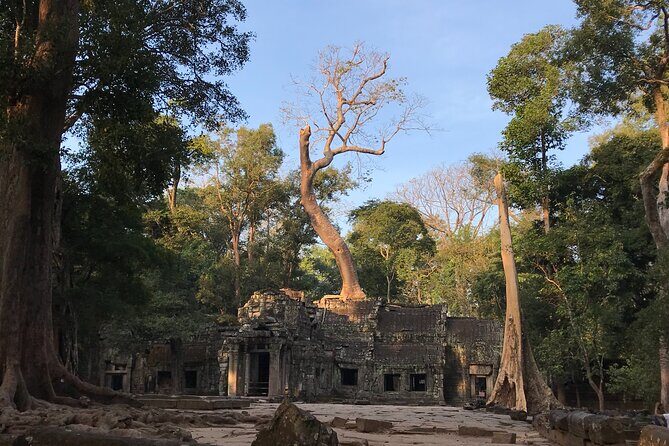 Private Guided Angkor Wat Tour by Lady Tuk Tuk with Monk Blessing - Who this tour suits best