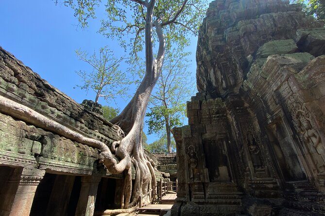 Private Guided Multi-Day Historical Tour in Temples of Cambodia - Angkor Wat: Best-Preserved Feel and the 12th-Century Big Leagues