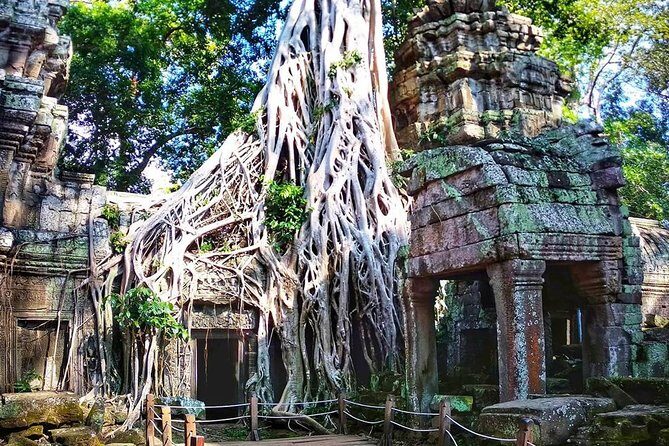 Private Guided Tours-Sunrise Angkor Wat, Ta Prohm, Bayon and more - Timing tips for an 8–9 hour temple marathon