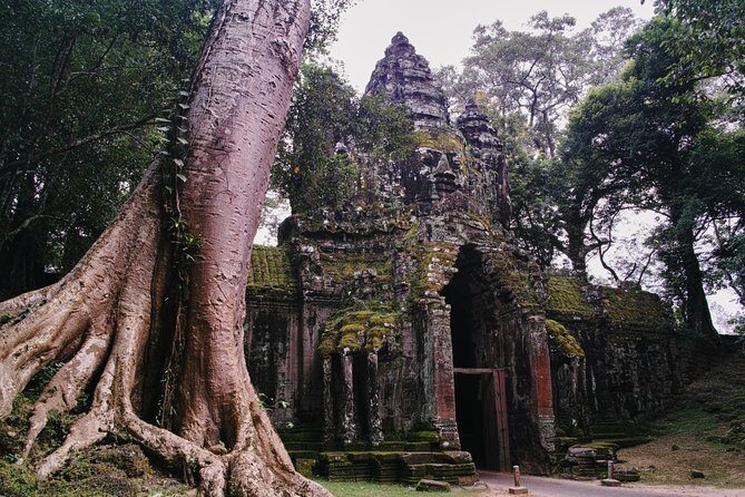 Private One Day Trip-The Best Experience in Siem Reap - Price and logistics: what the $80 really covers