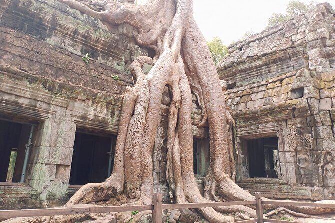 Private One Day Trip-The Best Experience in Siem Reap - The real reason this tour feels better: a guide who can explain what you see
