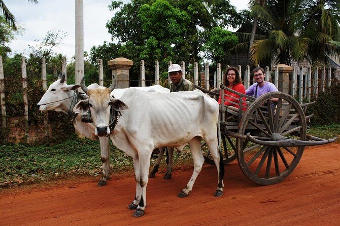 Private Ox Cart Ride and Local village Experience from Siem Reap - Getting There: A/C Transfers and Why the Timing Is Actually a Plus